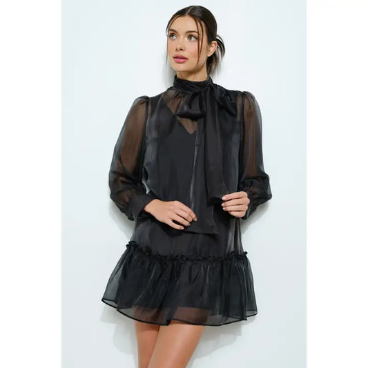 Black Chiffon Sheer Bow Dress
