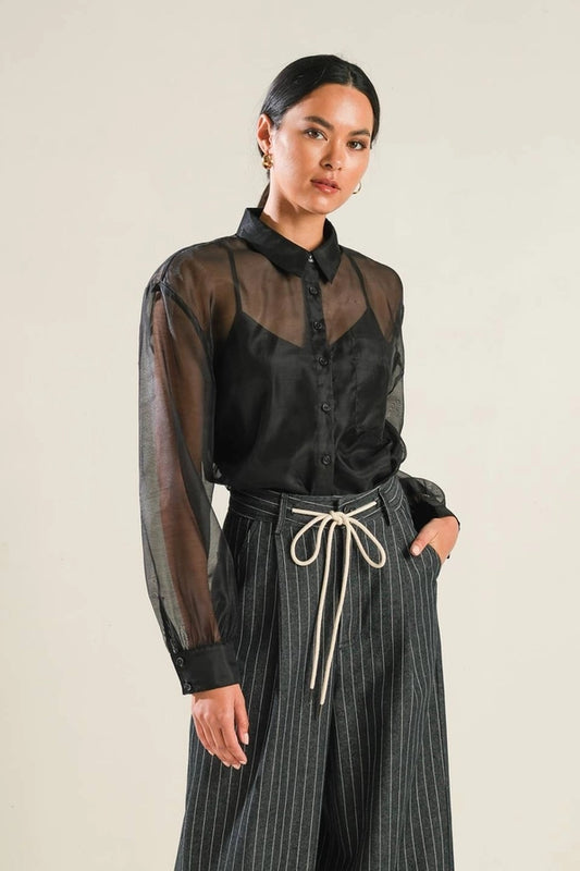 A Solid Organza Top
